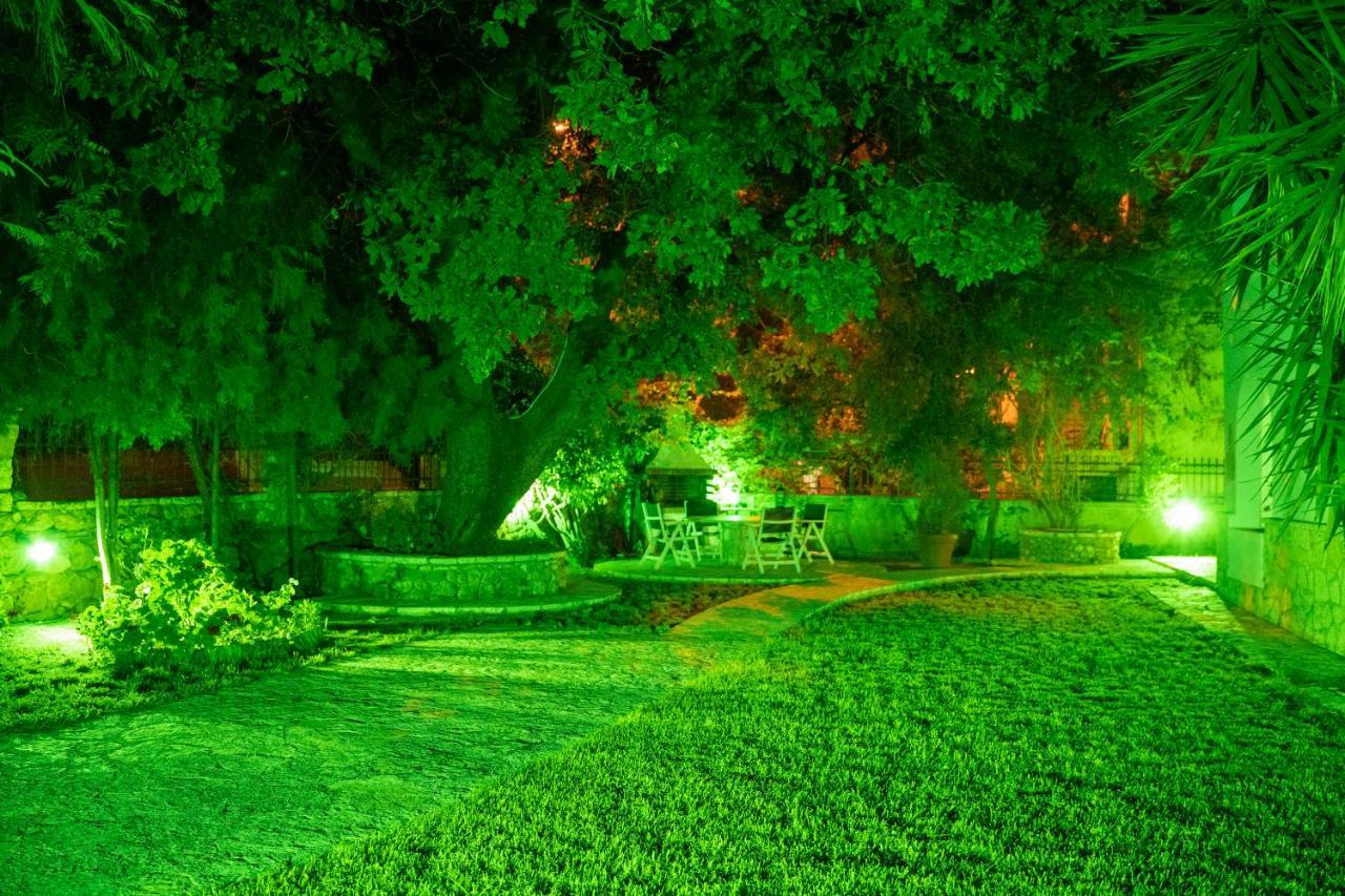 Villa Dina Sívota Exteriér fotografie
